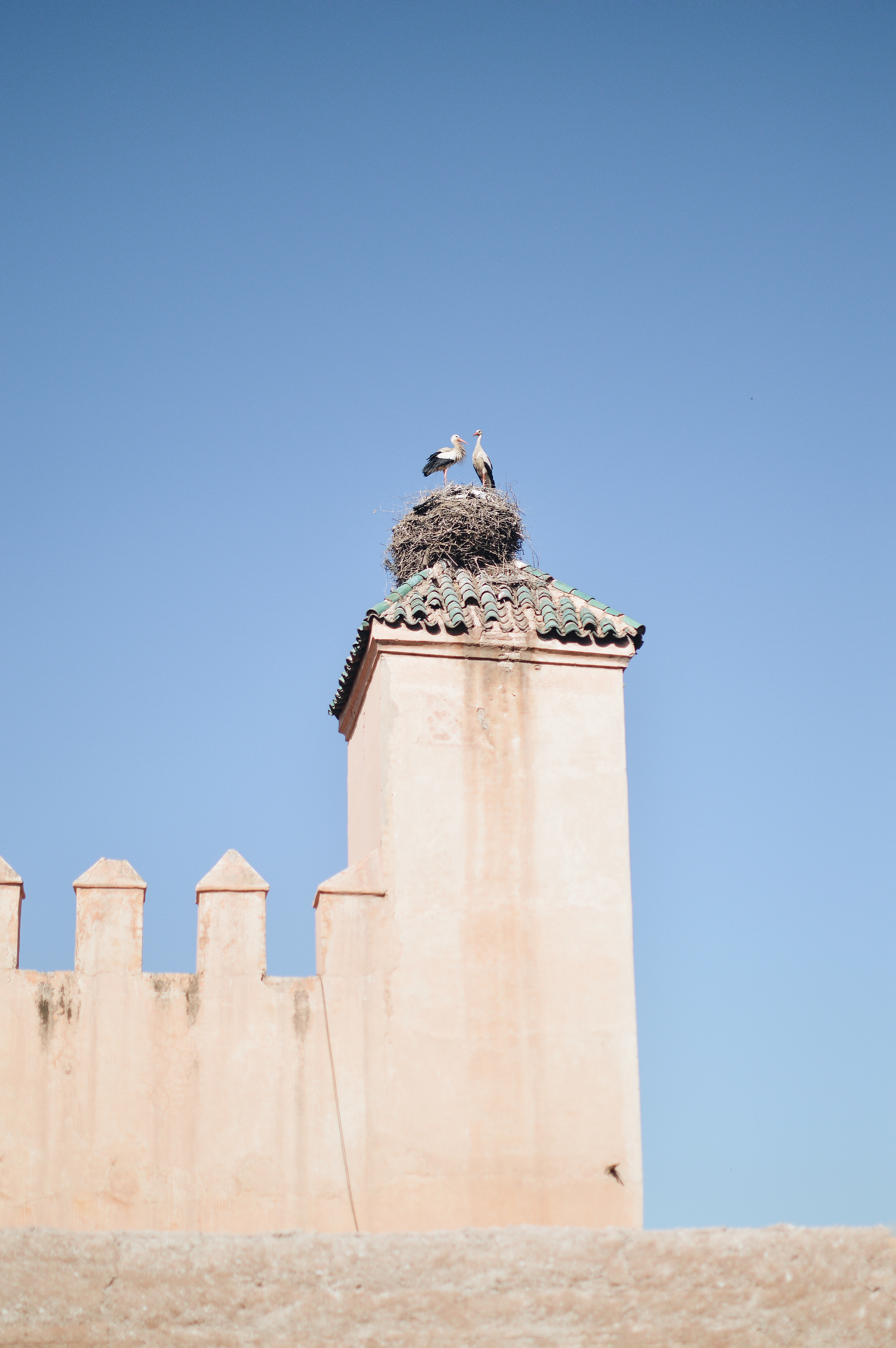 IMG_5375 Marrakech travel tips. Dar Les Cigognes.